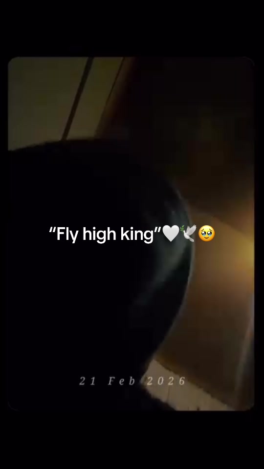 @uMvuleni💧