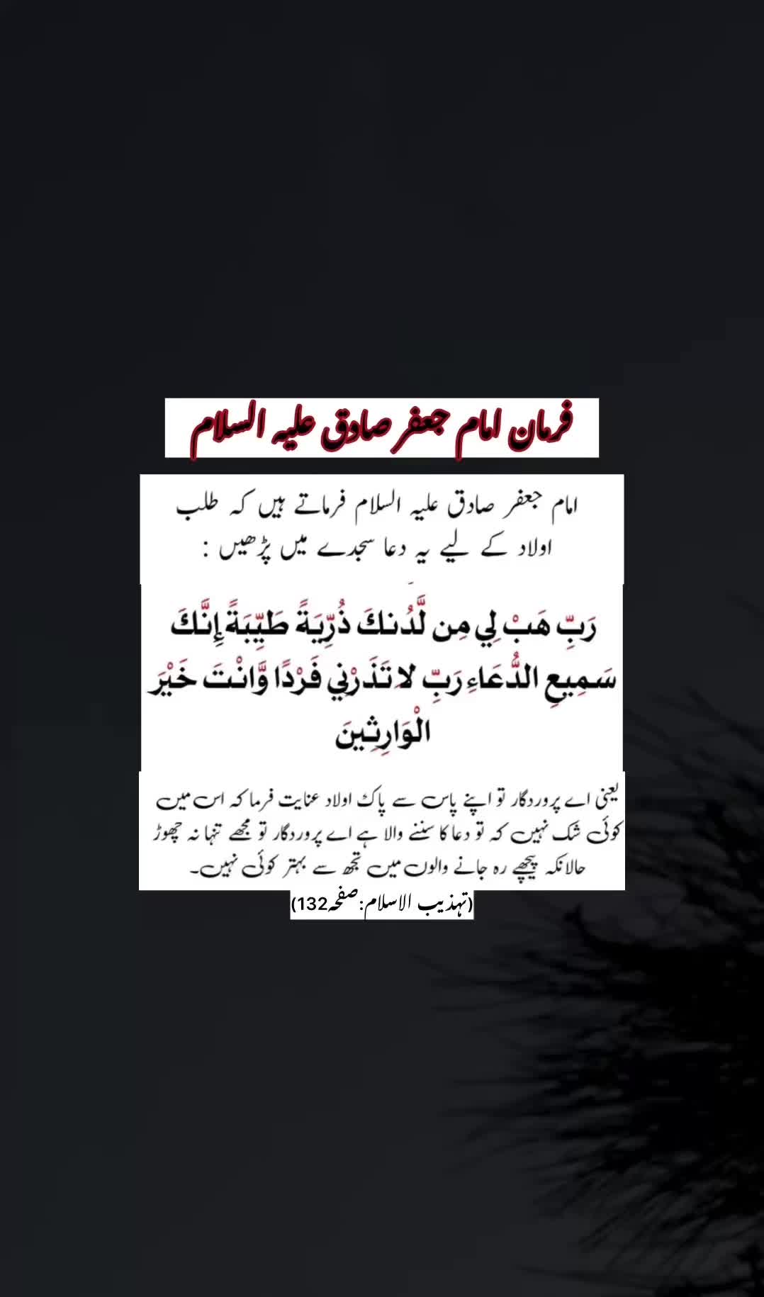 @dr.farahbokhari