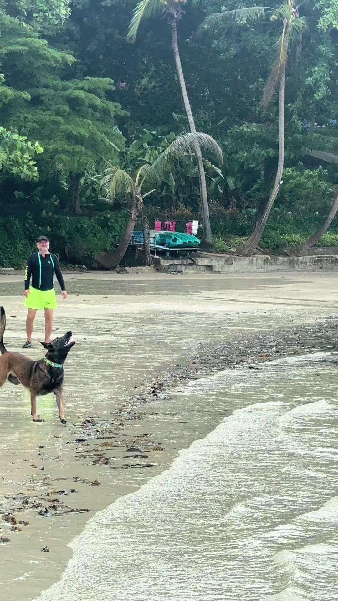 @doglifethailand