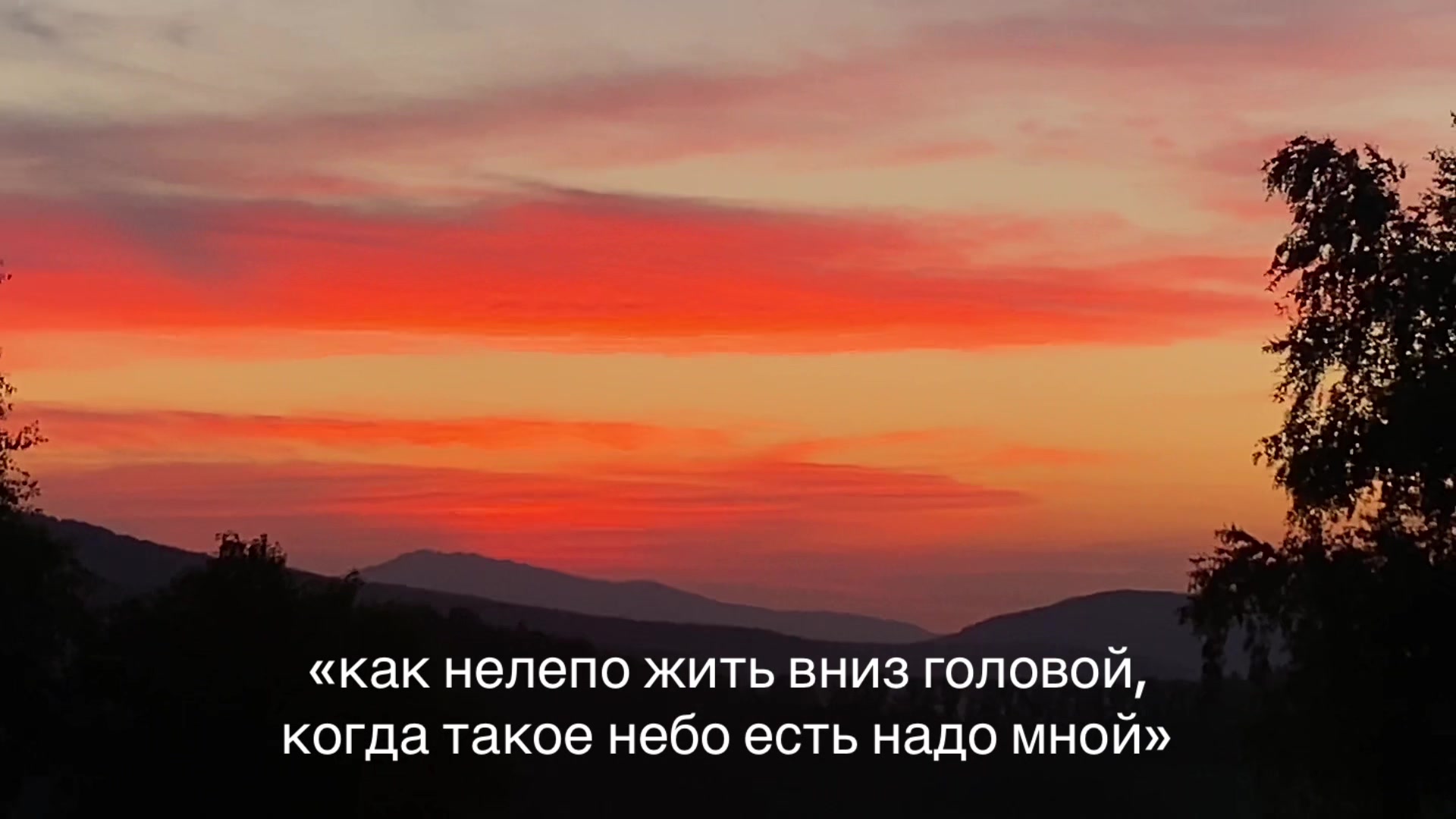 @дашута🪻