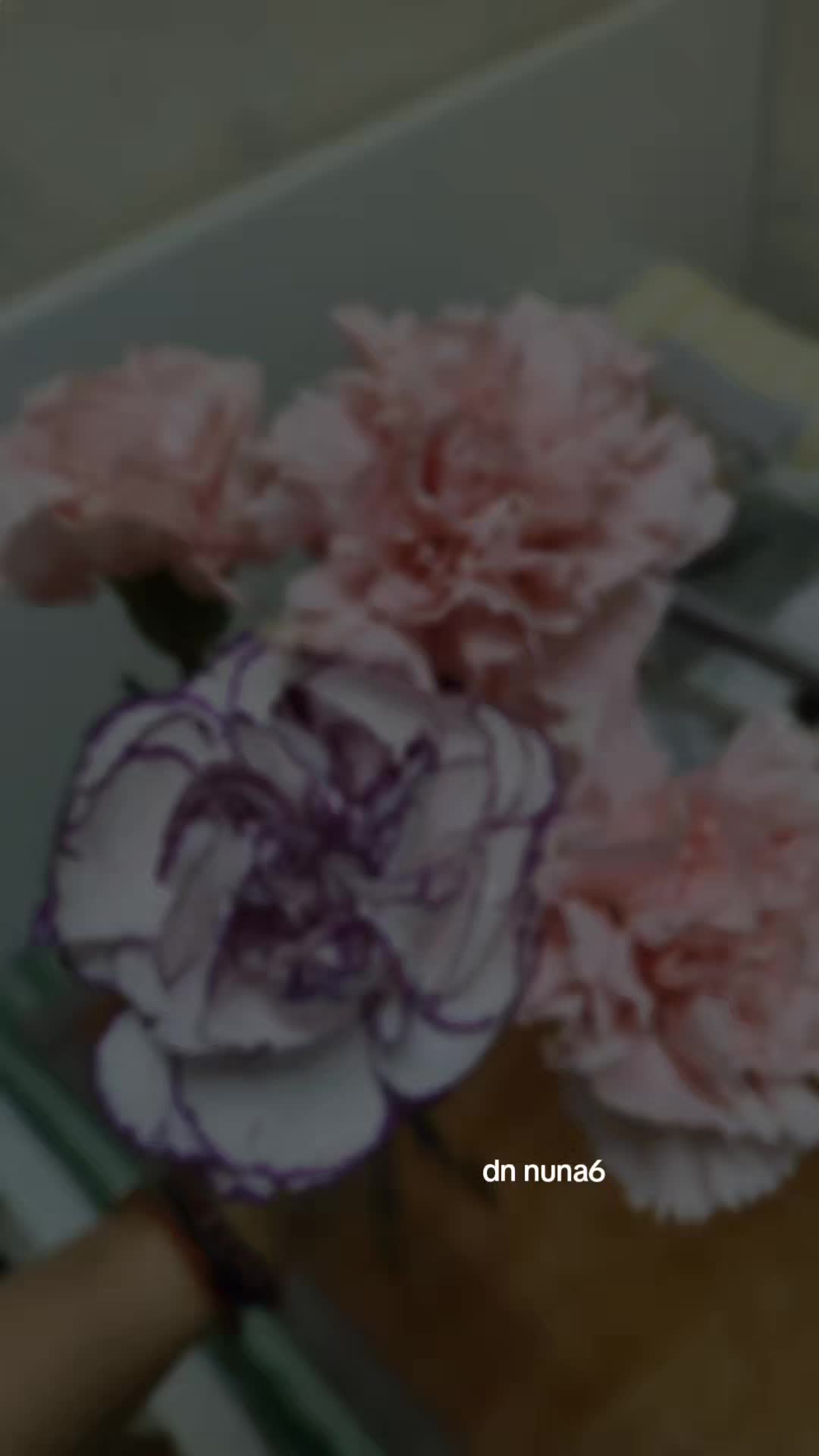 @@DN๐ญ๐ฐ โ