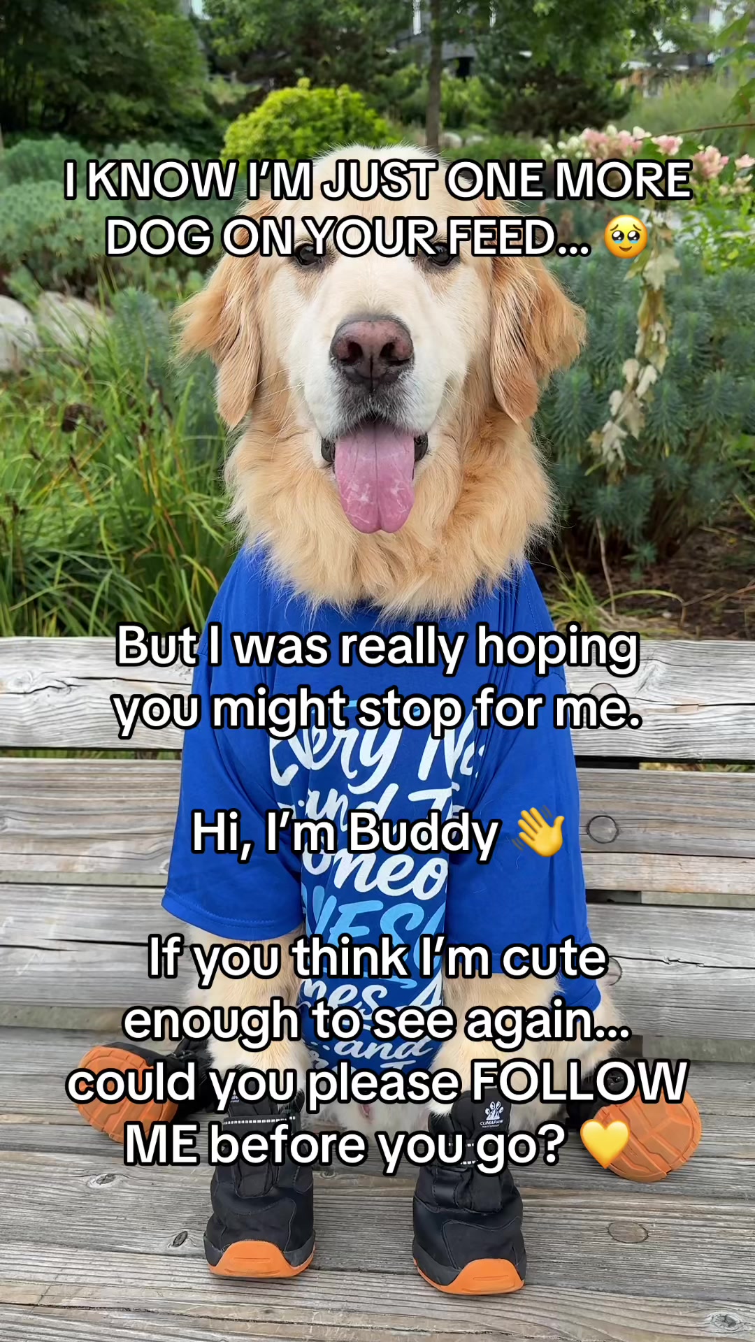 @A Golden and Fam