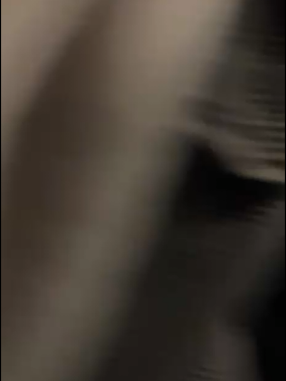 @Arya