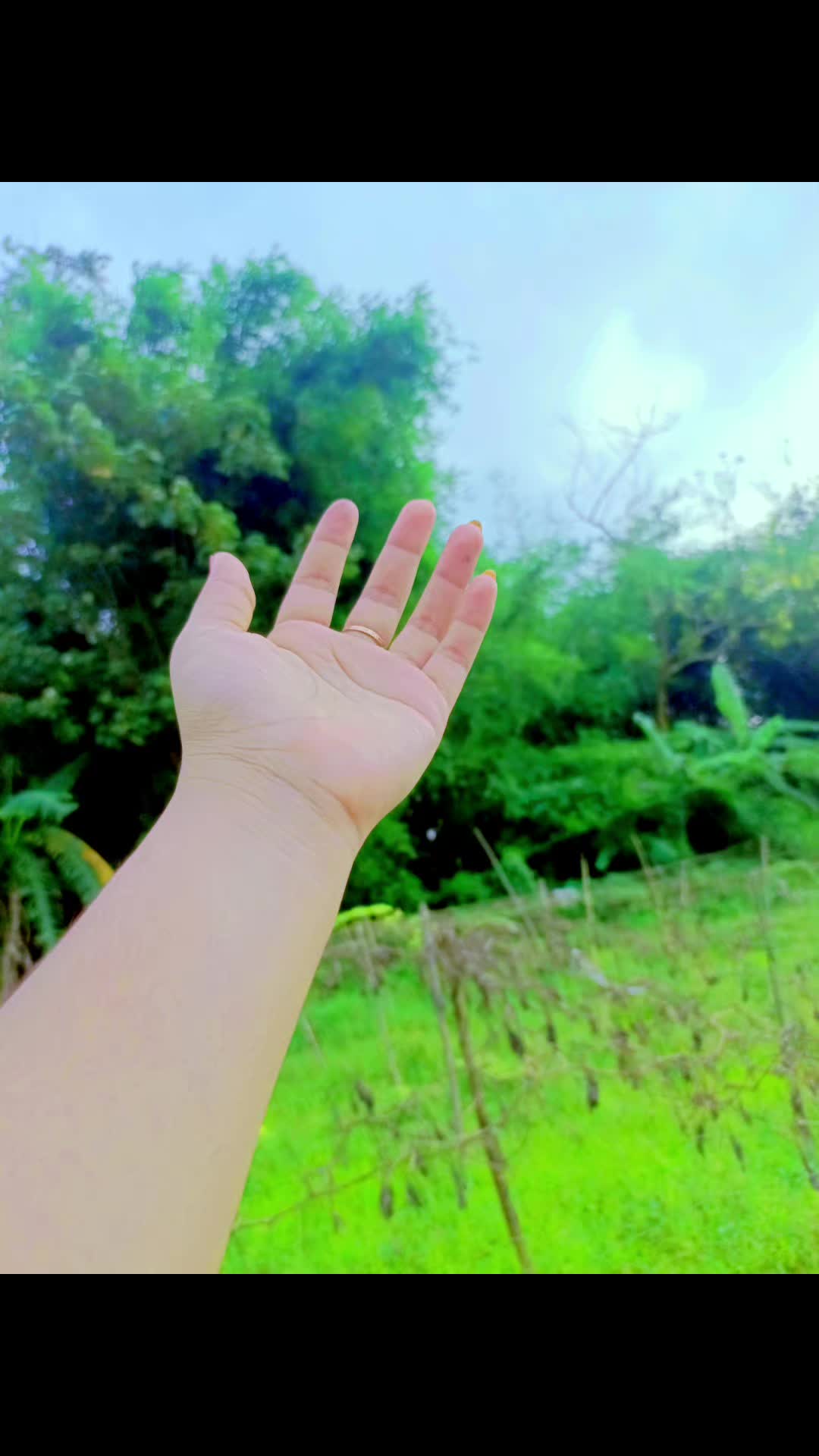 @আফরিদার আম্মু