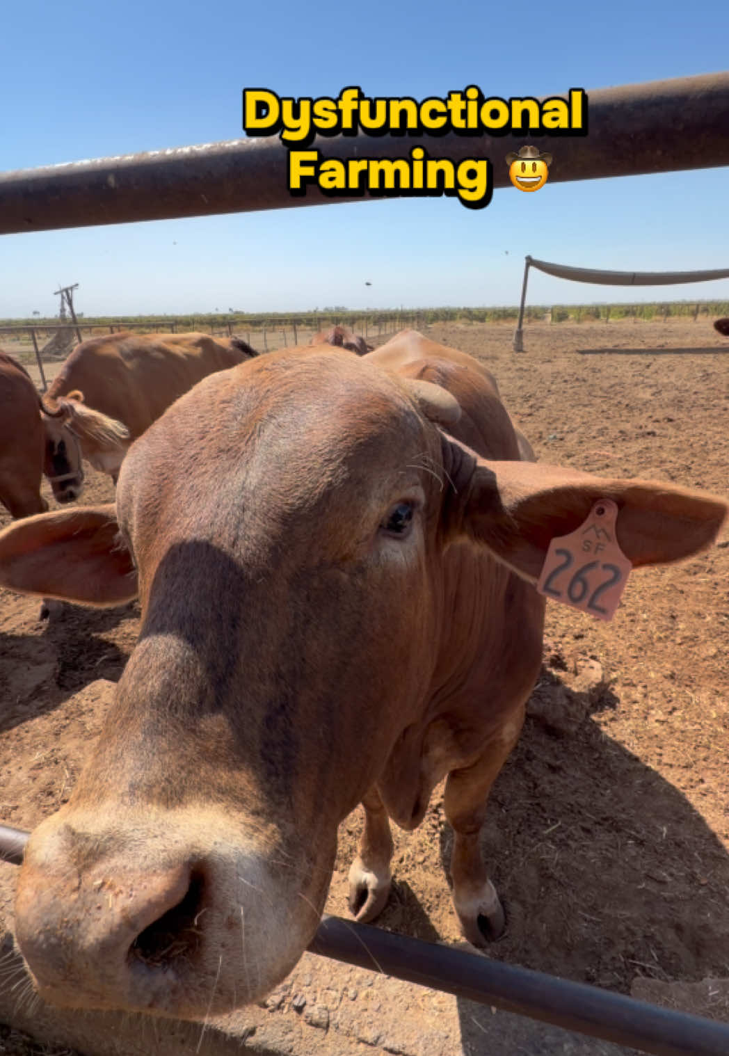 @Skylar Farming