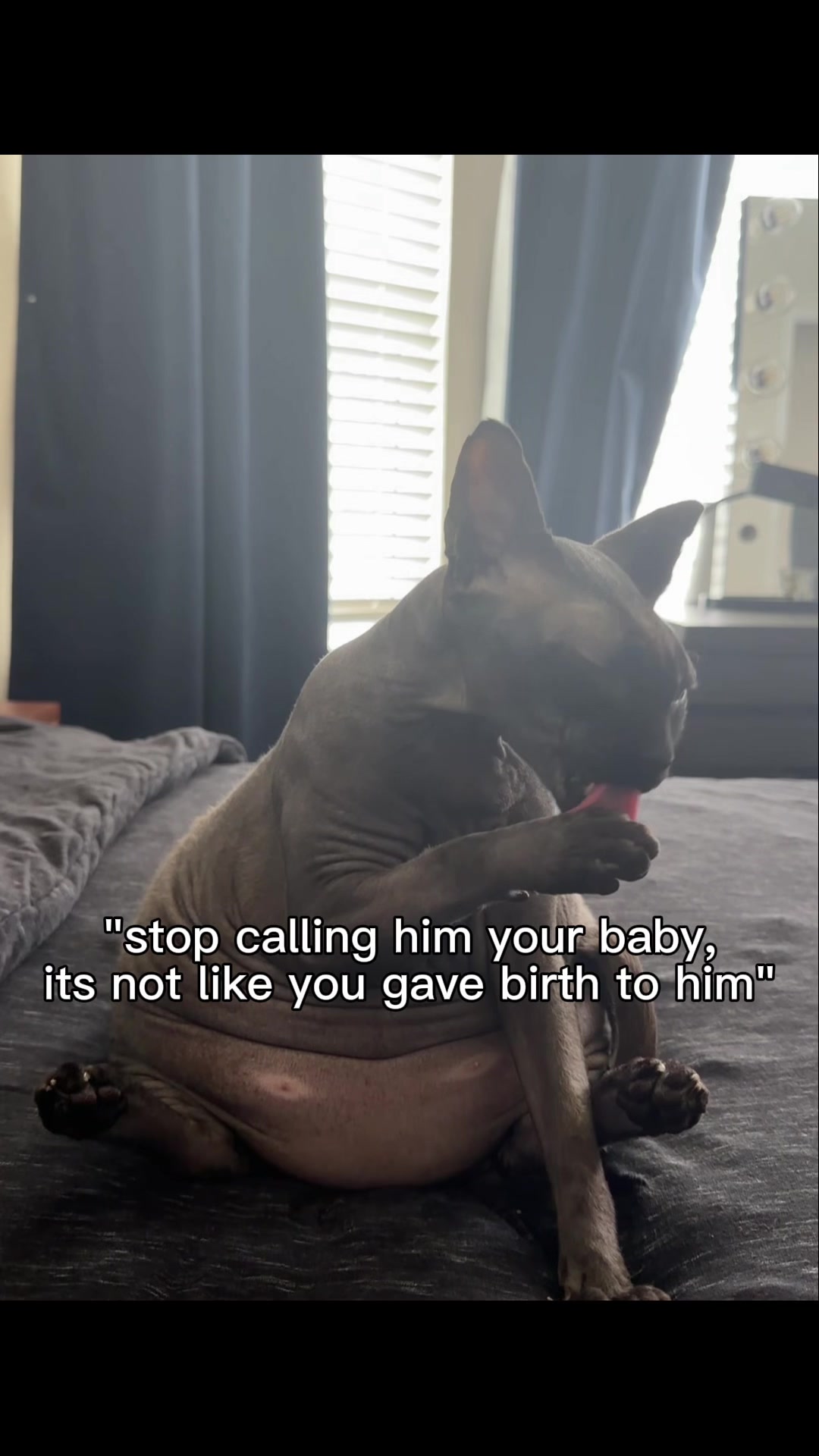 @𝙻𝚎𝚎