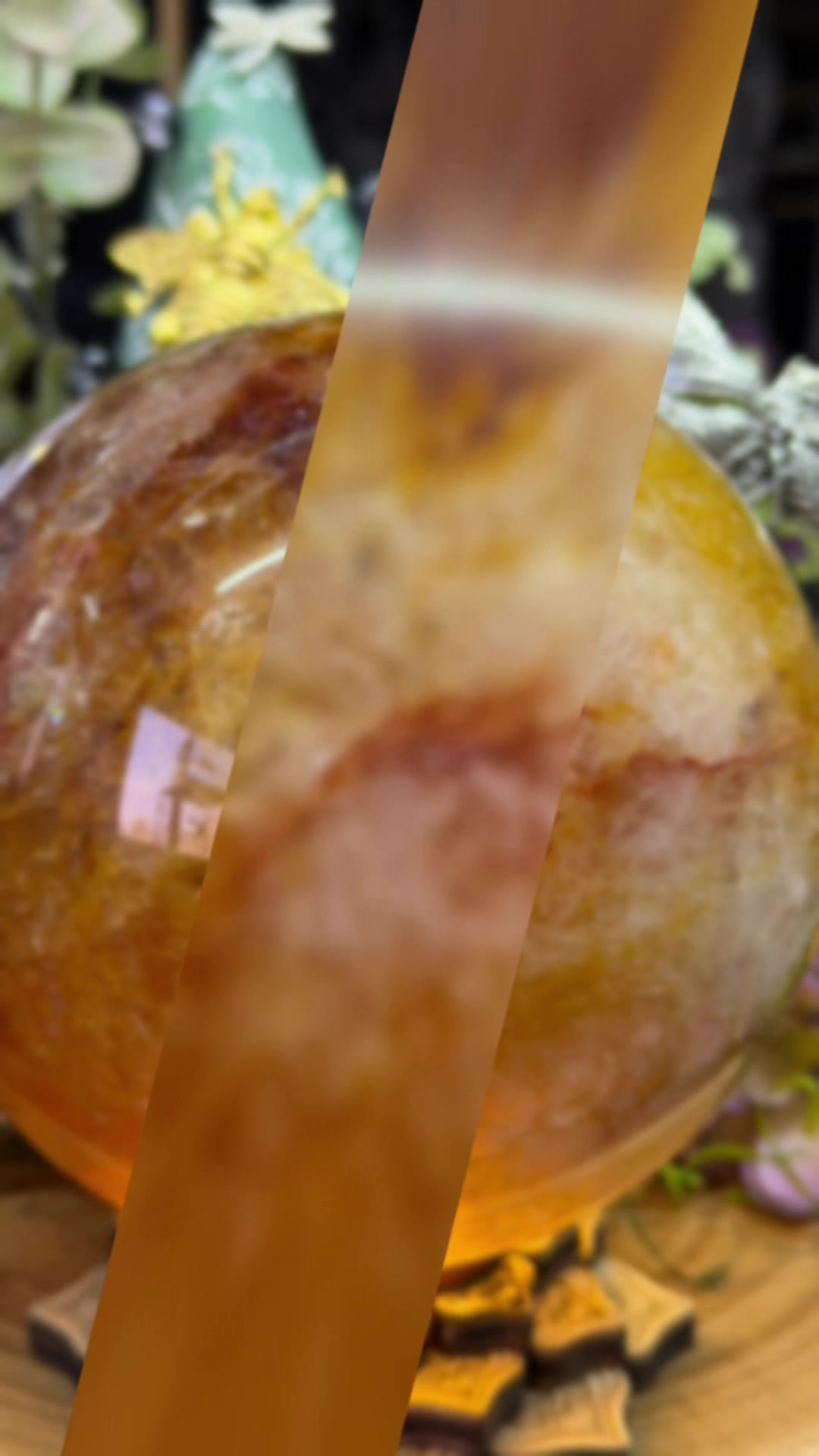 @The Crystal Parrot Crystals