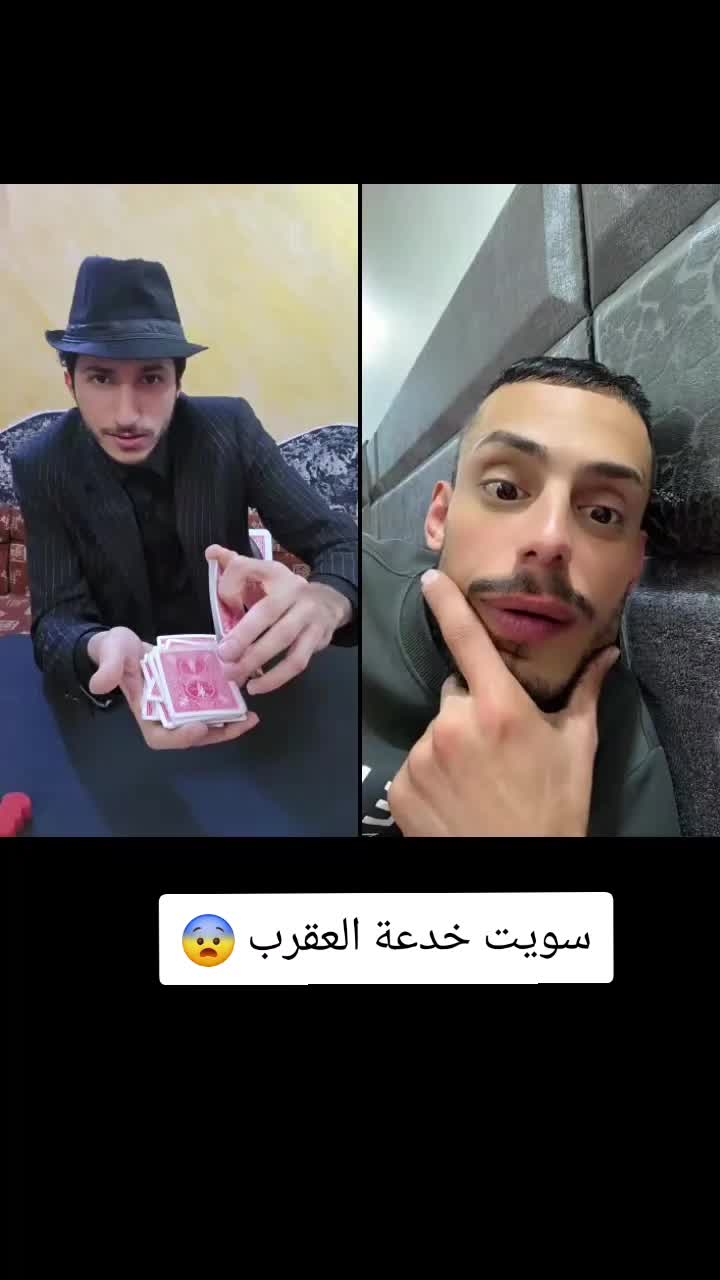 @ترينبو_Tranbo