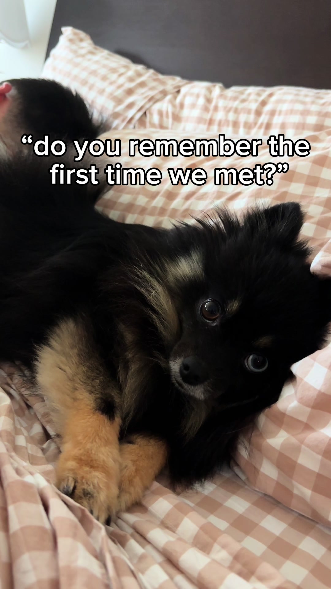 @G