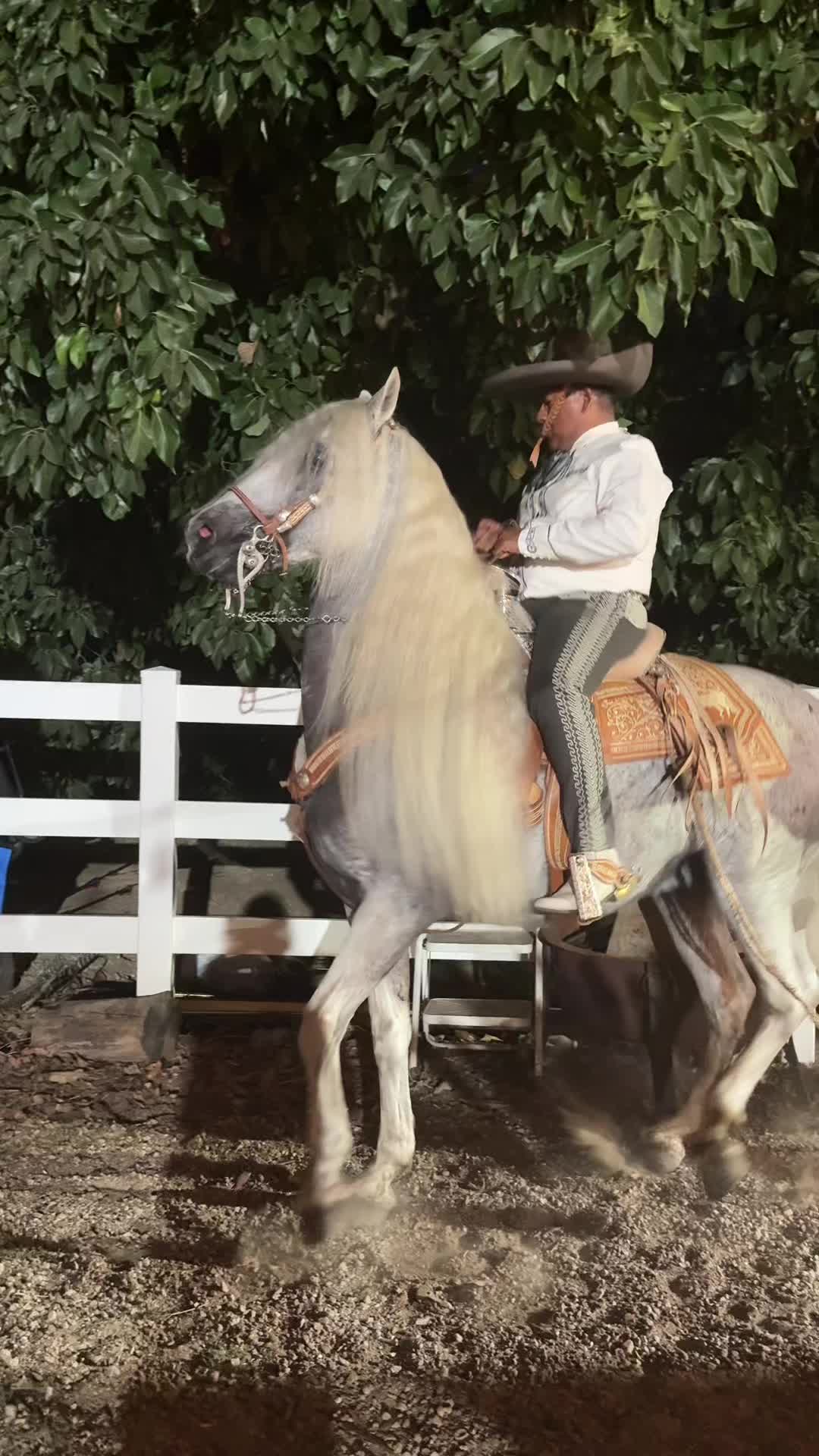 @Rancho Arroyo Charros