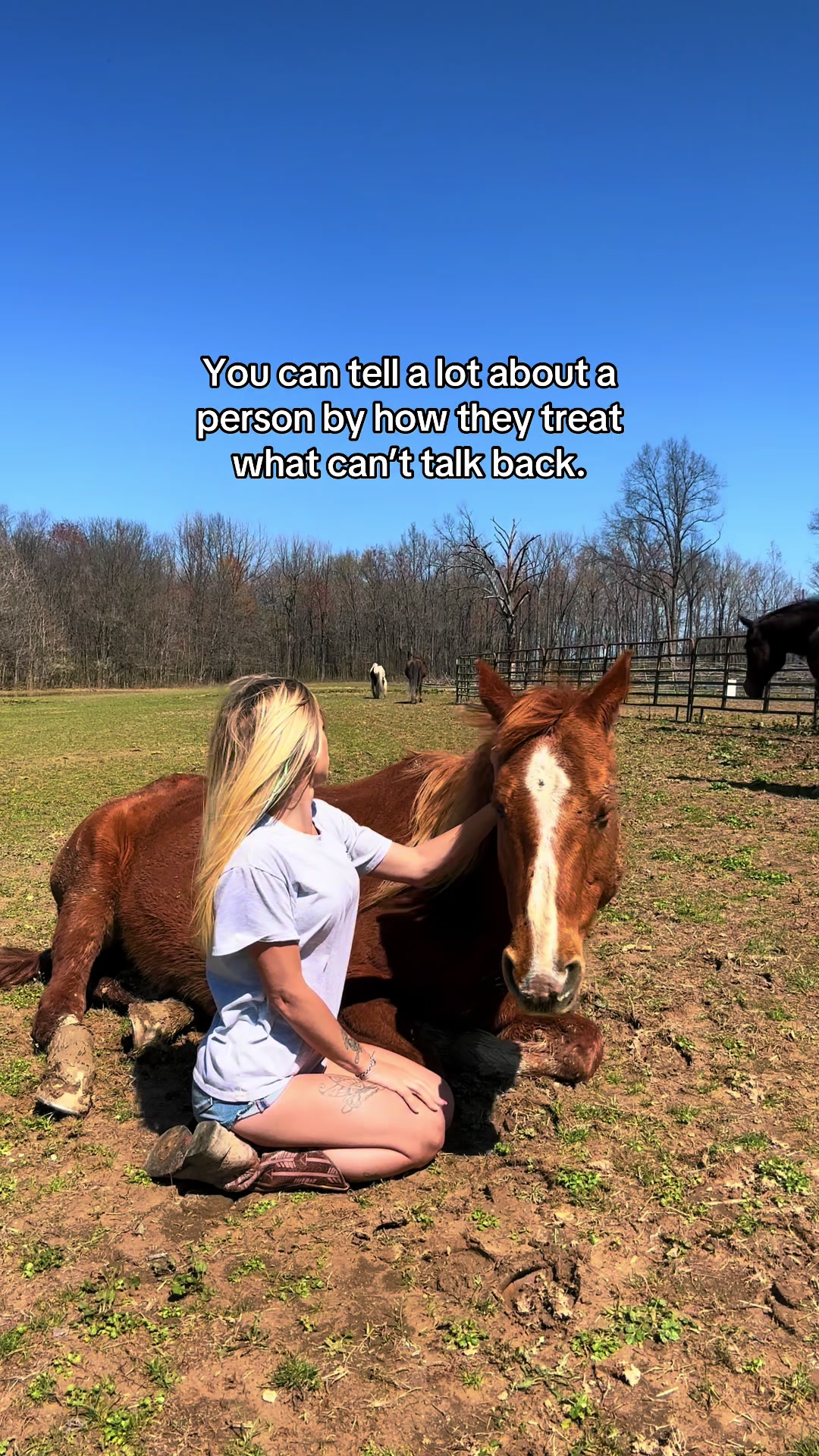 @Skye Marie 🌾