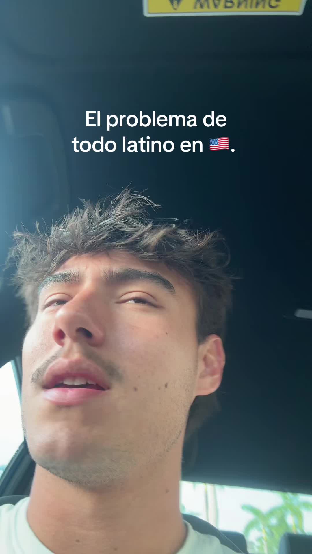 @mendiolaenusa