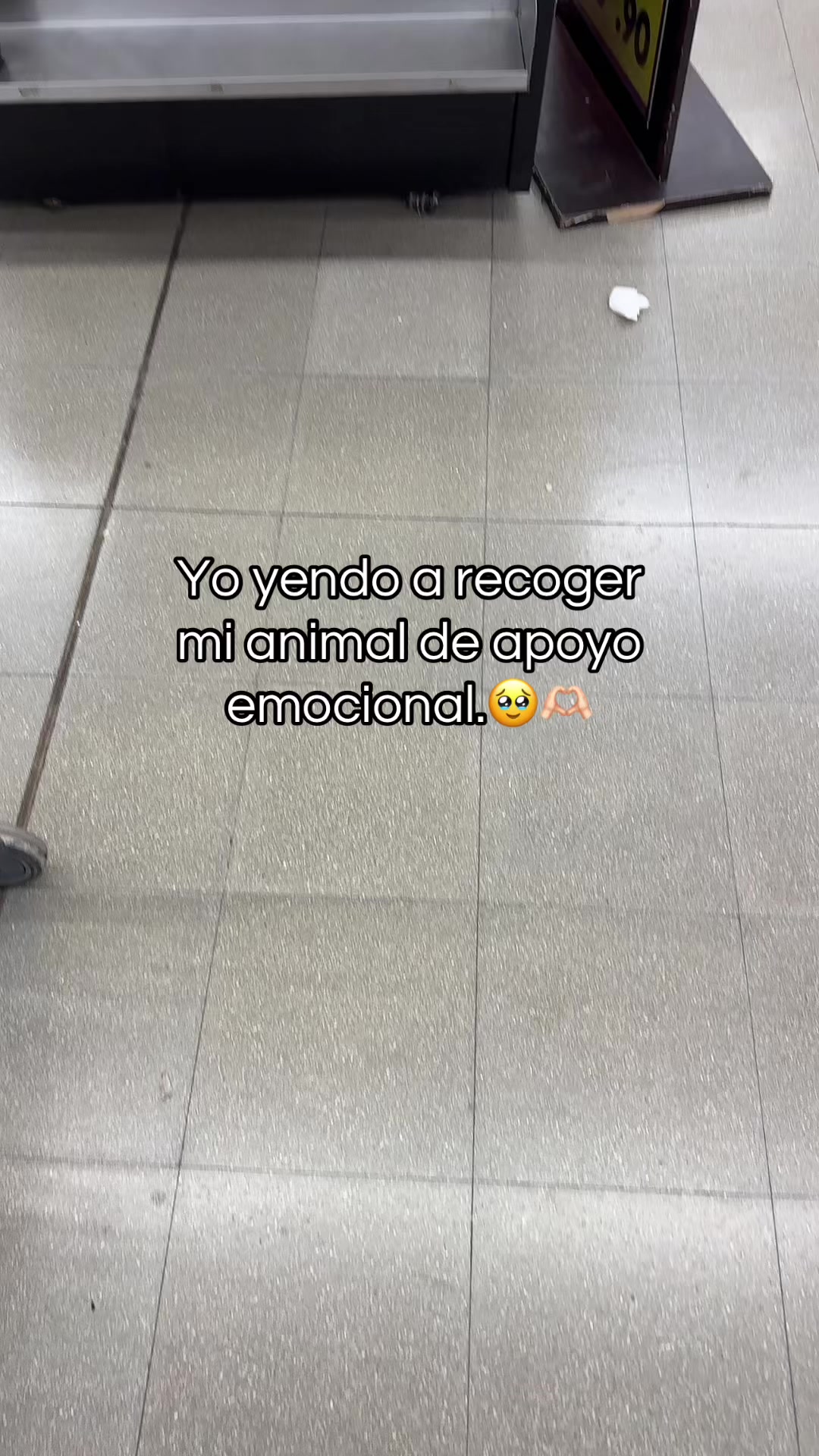 @Lulú🌻🪐