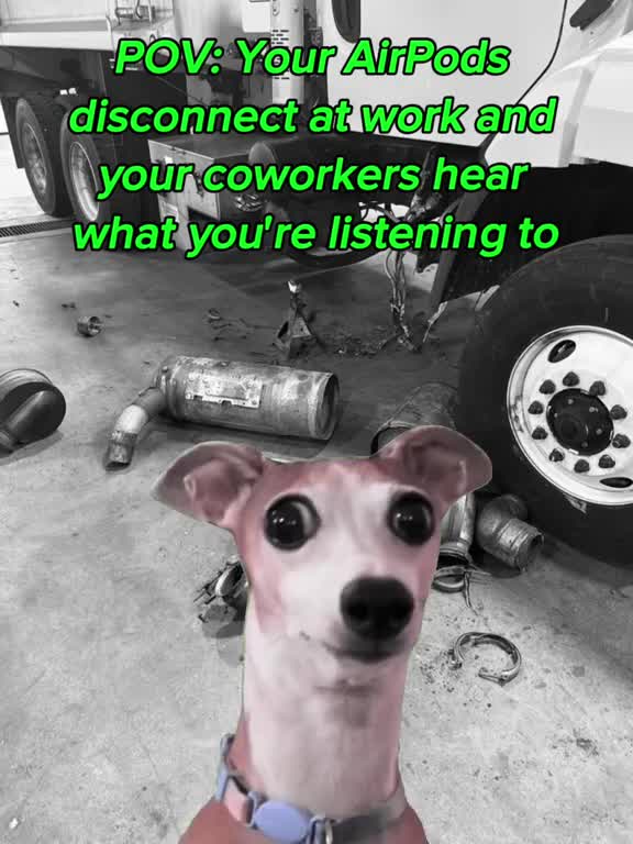 @adamtacoma