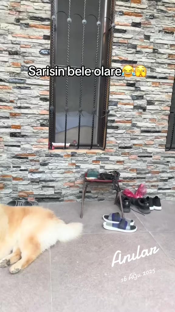 @tobi_bakılı