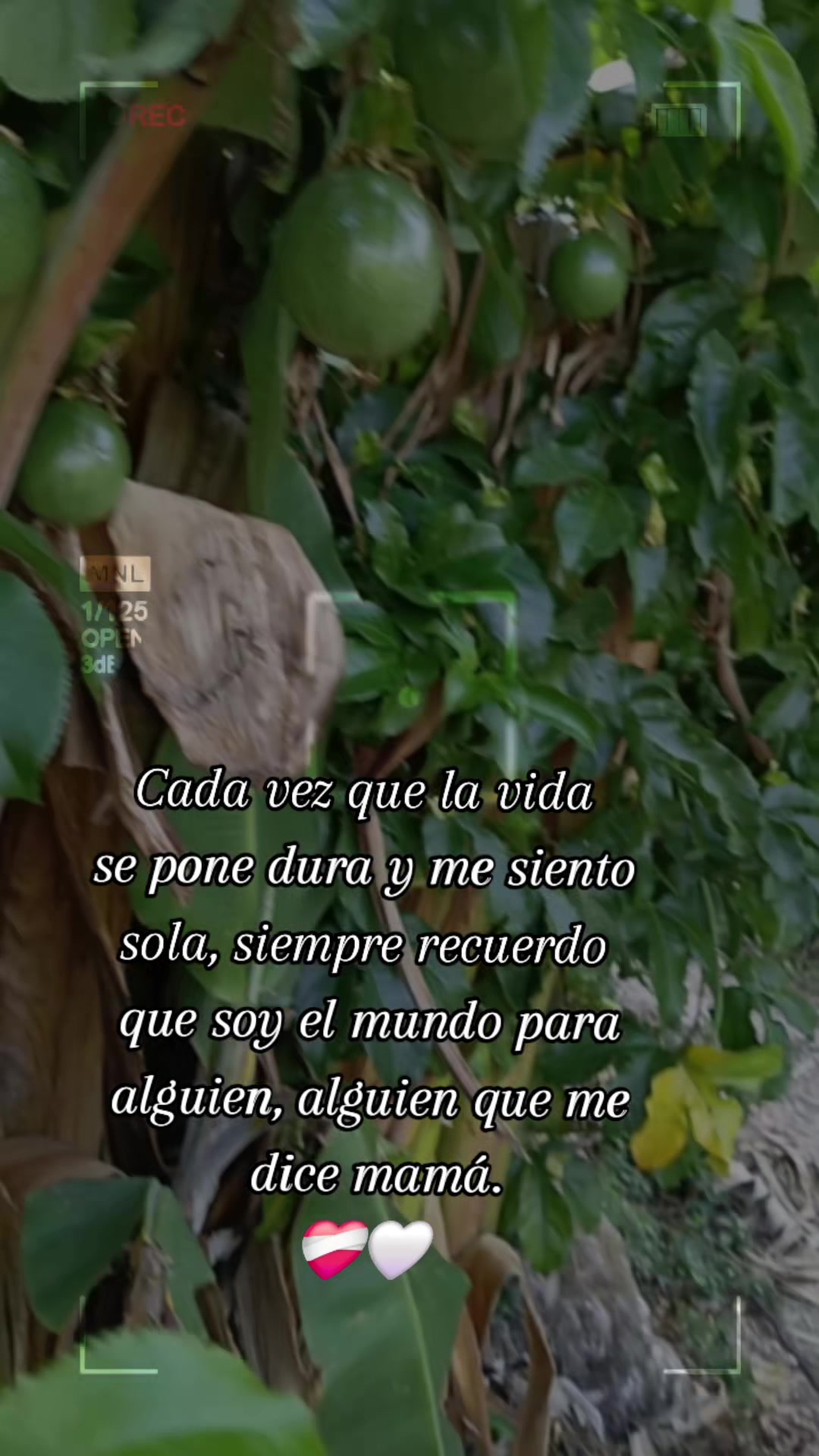 @Estrellita