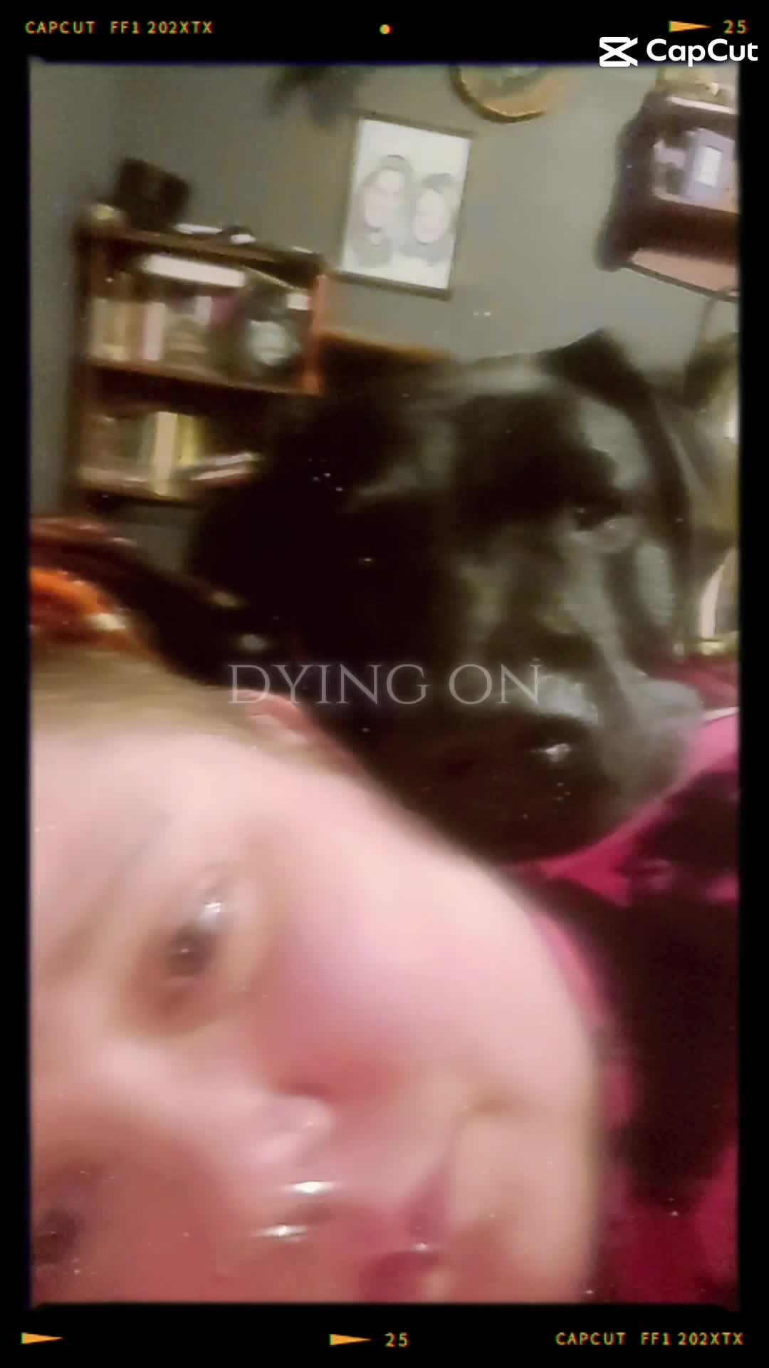 @TheCreepyCrippleLady💙👩&zwj;🦽🦮