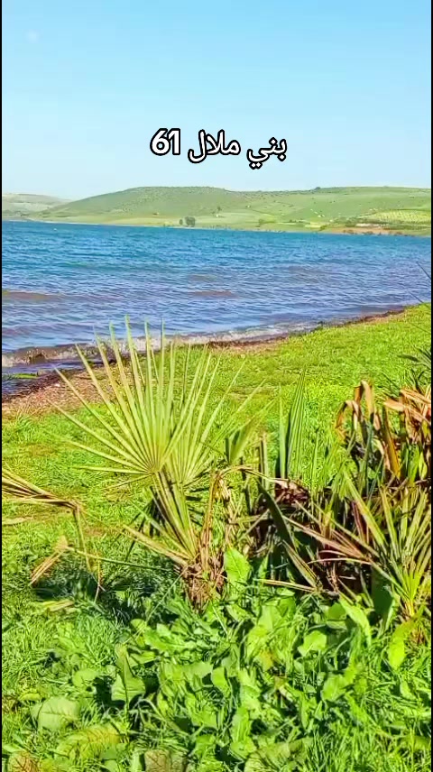 @المنظر الجميل 🌴🌻