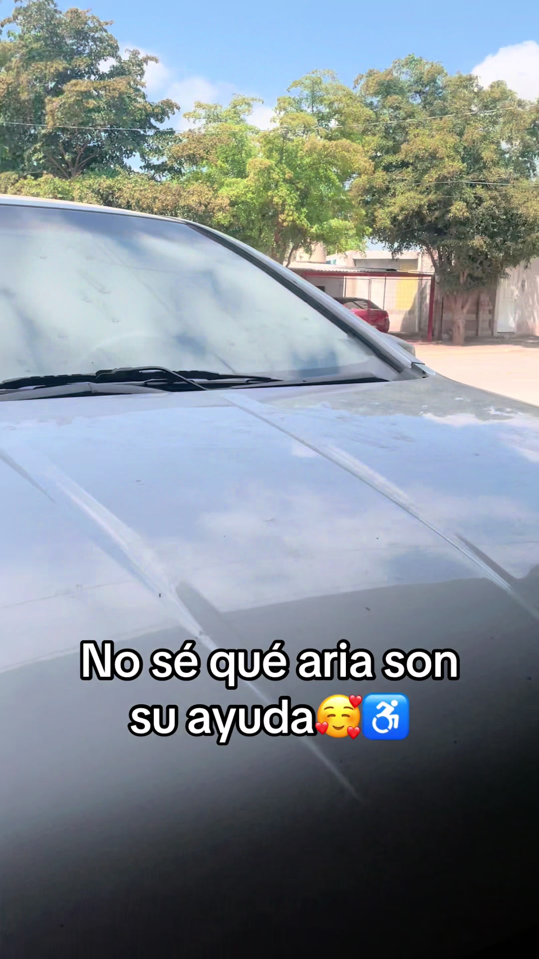@Yolanda Zazueta