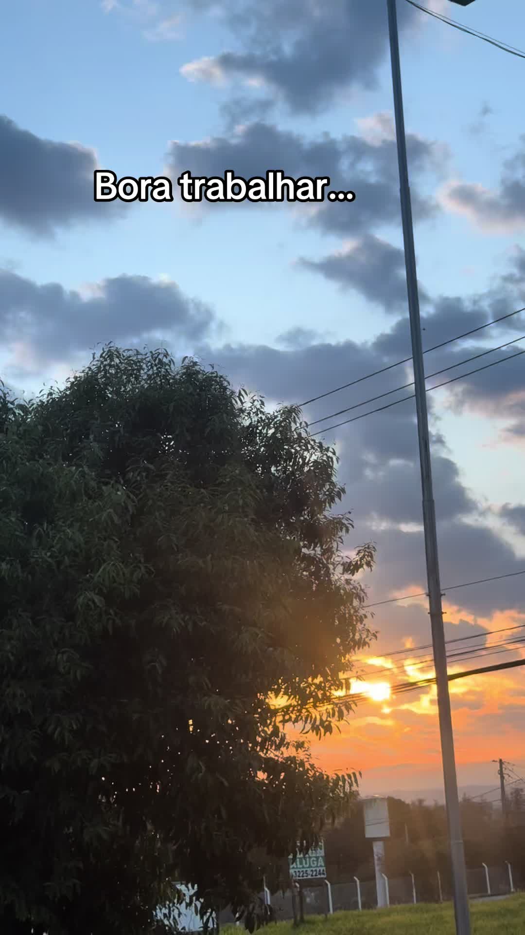 @Sonia Souza