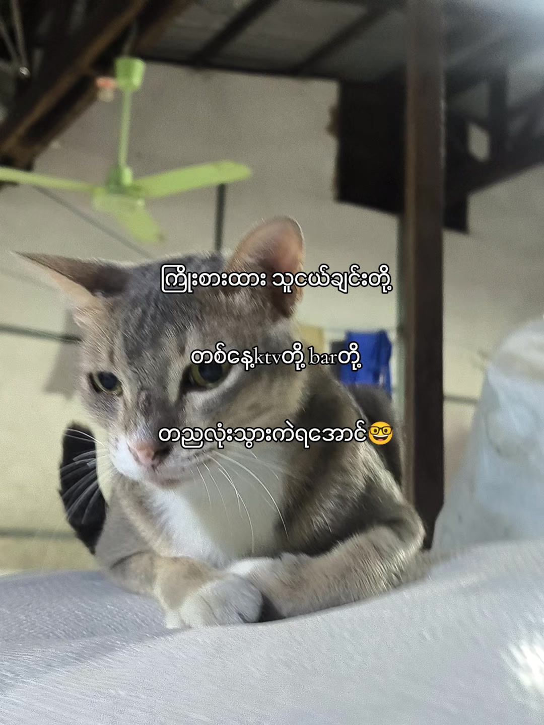 @๐ด๐ ๐ท๐๐๐