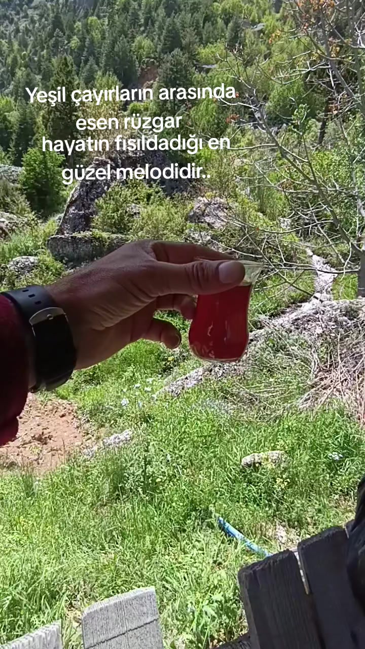 @BOZKURT46