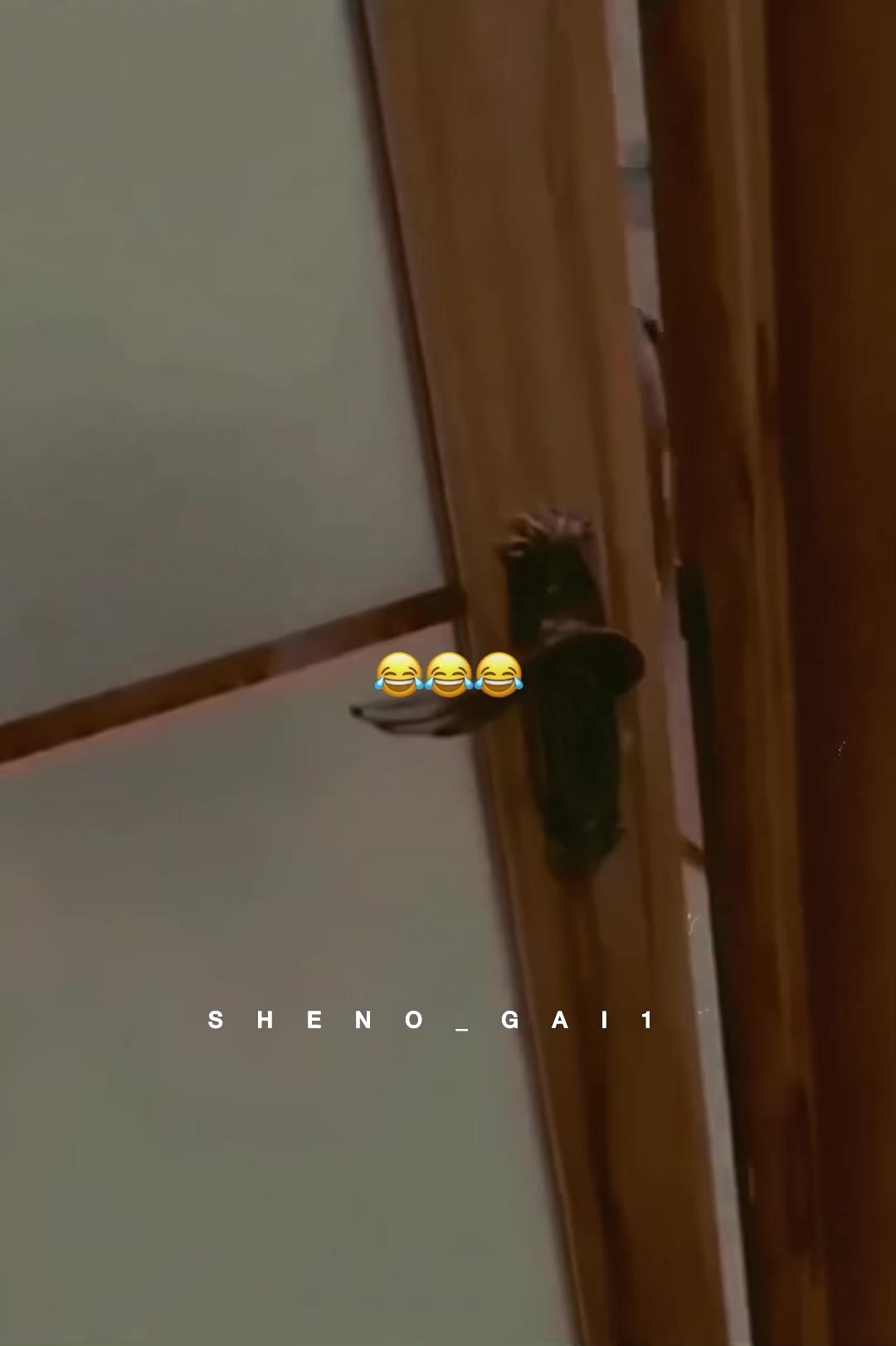 @✮⃝🇸𝙝𝙚𝙣𝙤🇬 𝙖𝙞࿐.