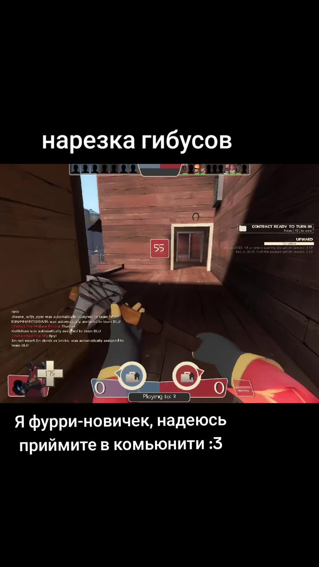 @лапушня