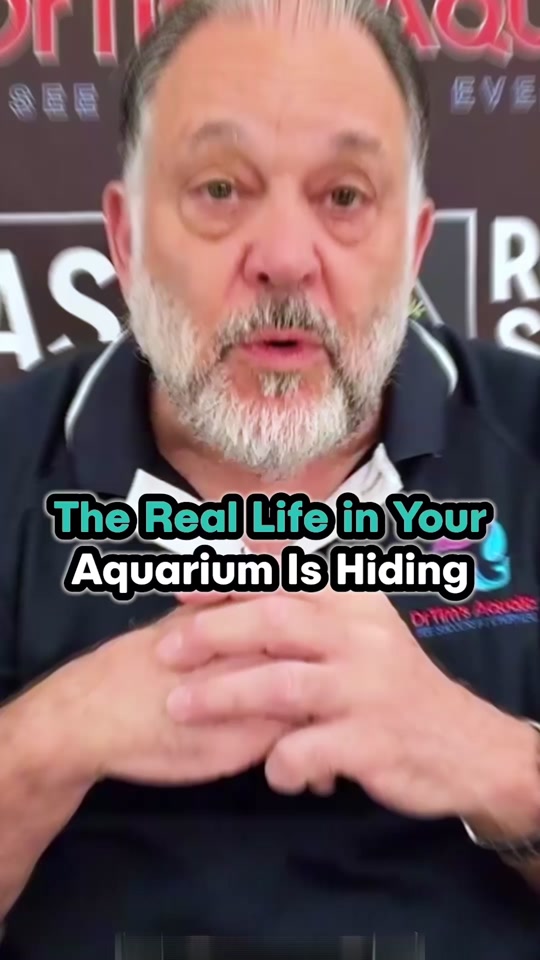 @DrTim