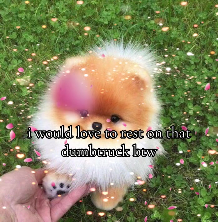 @realestsz0