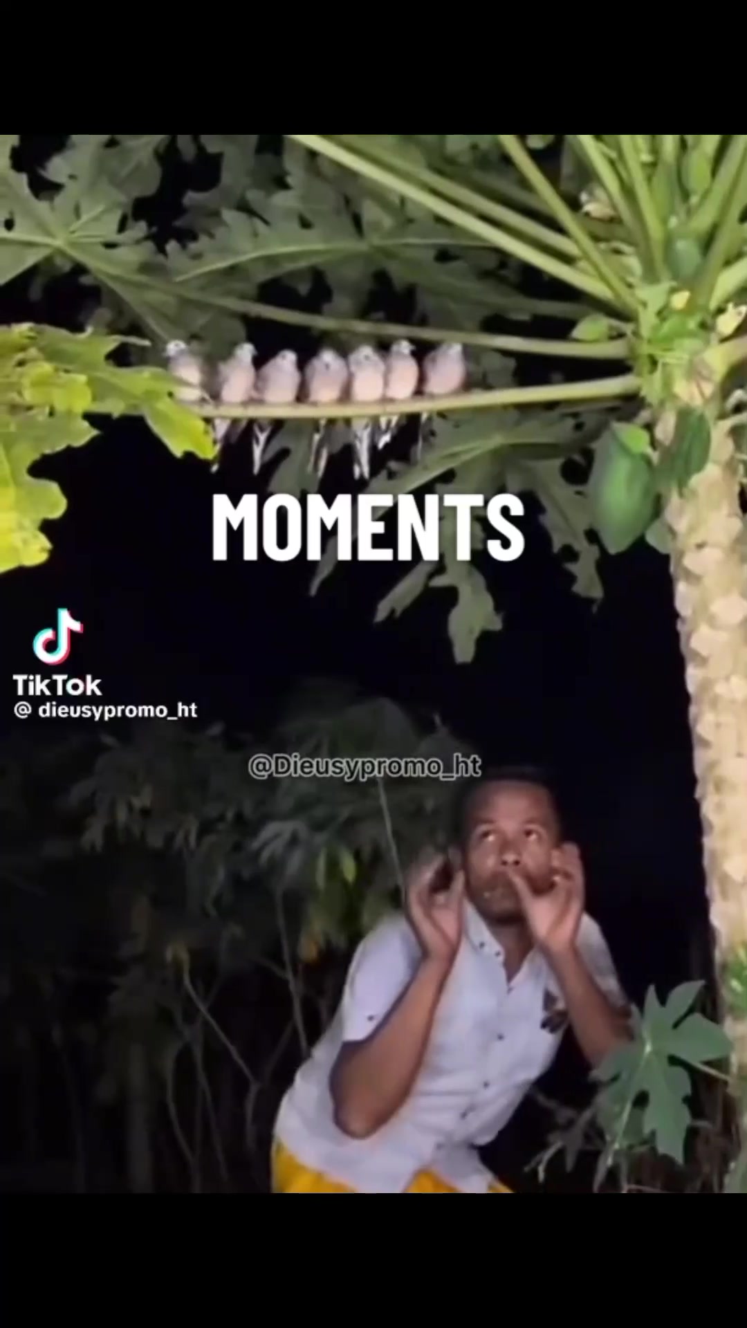 @chef baltèt