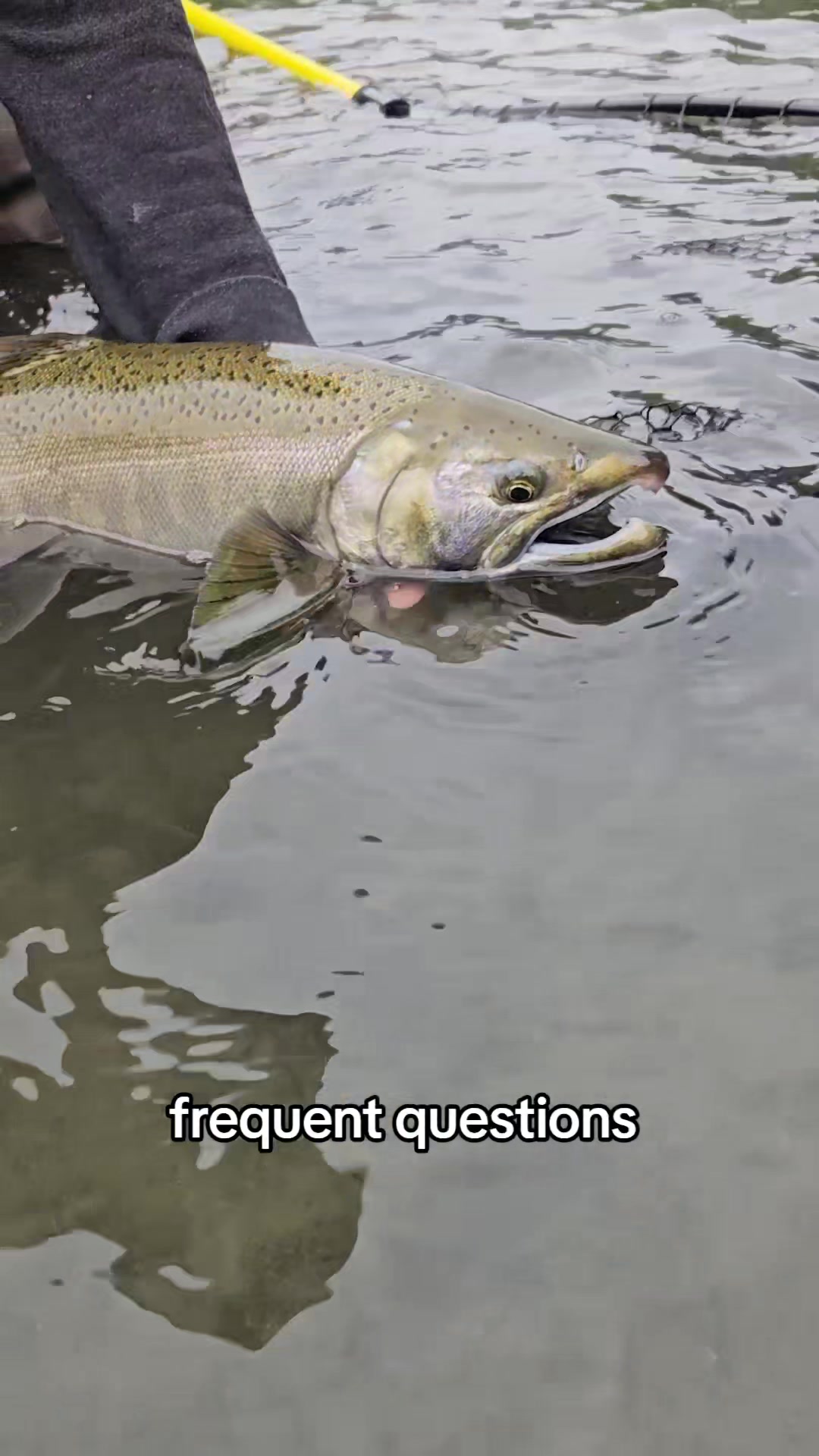 @FishingParadise
