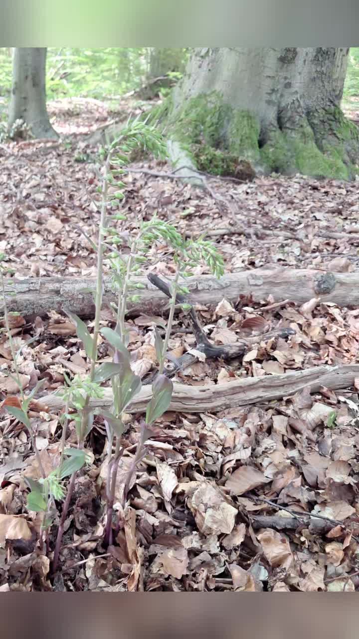 @Natur und Garten