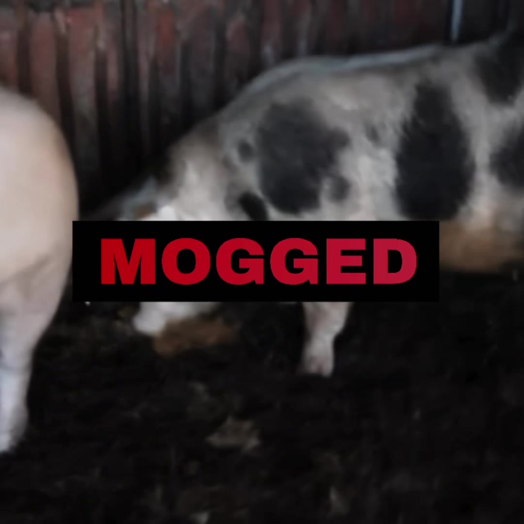 @🥩𝕽𝖆𝖜𝕸𝖎𝖑𝖐𝖂𝖎𝖋𝖊🥛