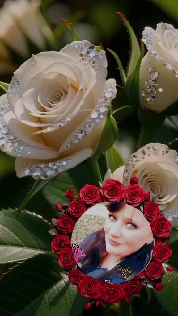 @╚»★«╝ 𝓐𝓷𝓪𝓼𝓽𝓪𝓼𝓲𝔂𝓪 ╚»★