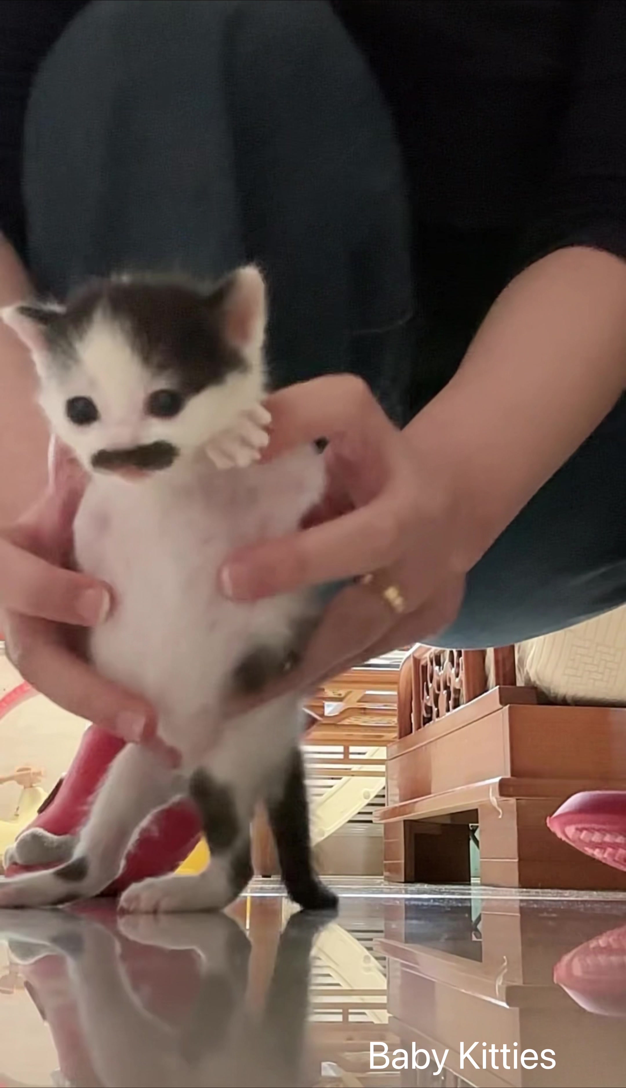 @Pawsfull.ASMR