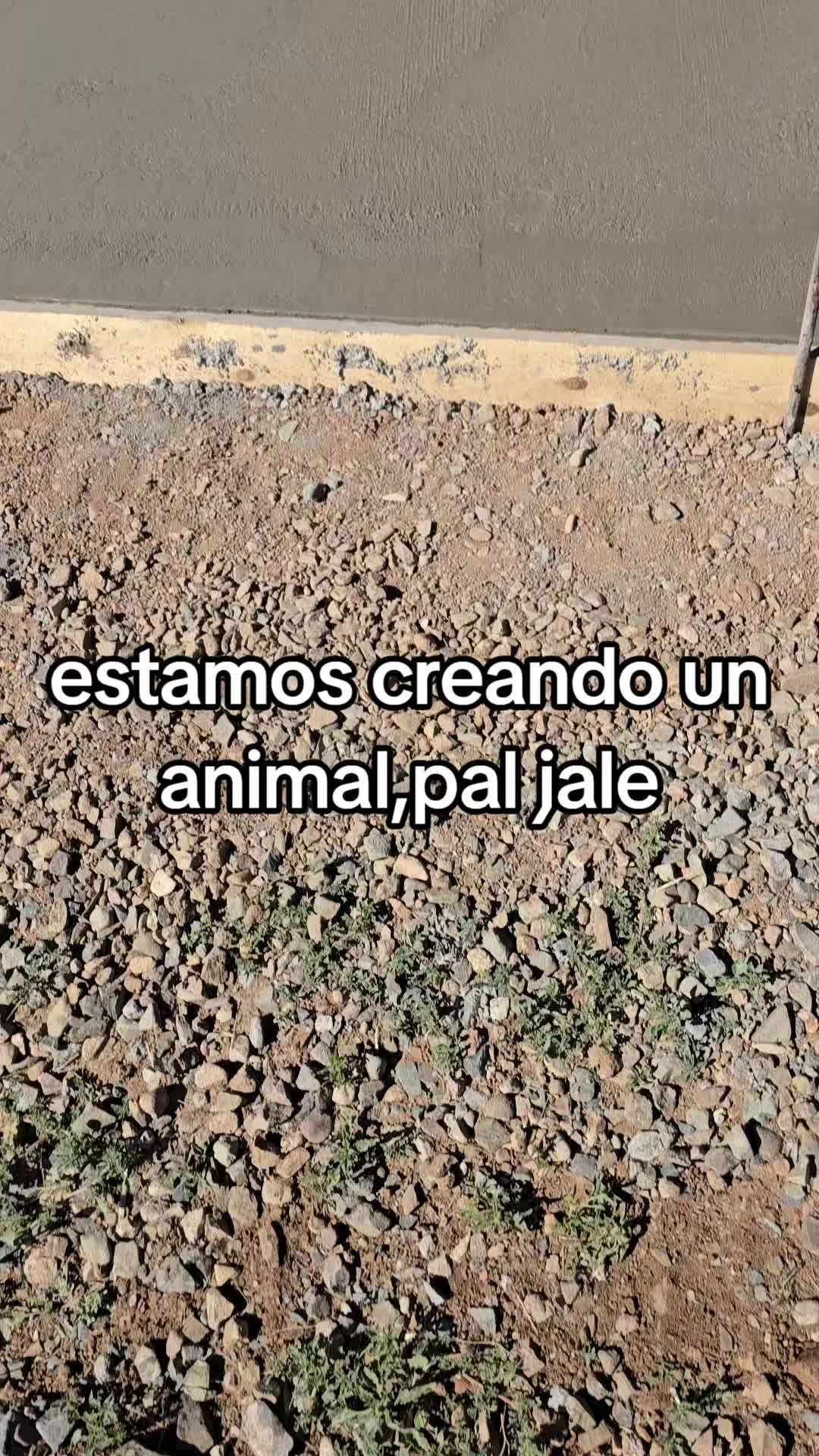 @Ivan lugo