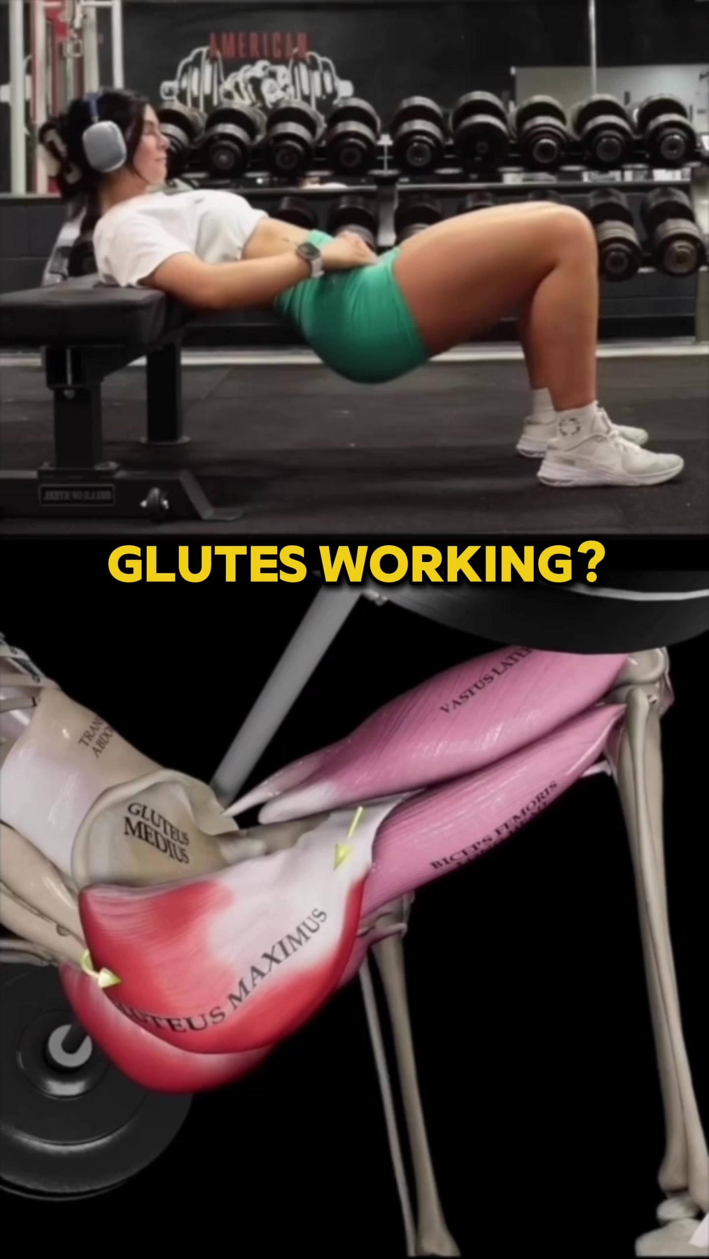 @Squat University