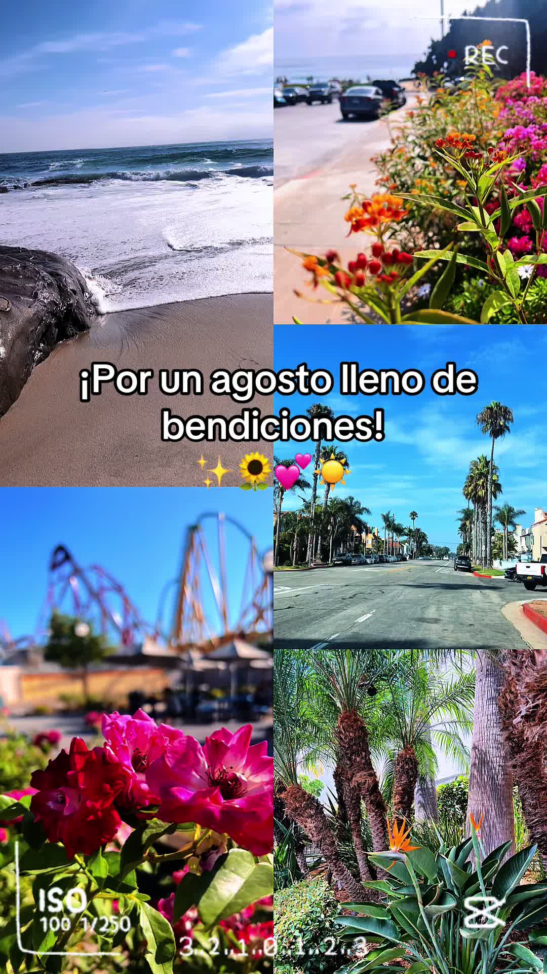 @Mayri