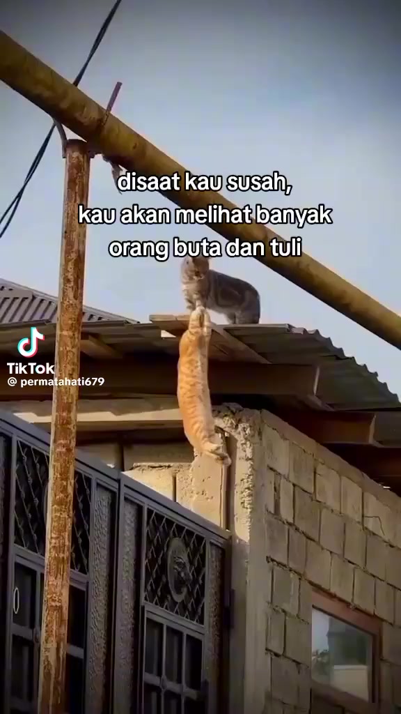 @ReyhandraMalik
