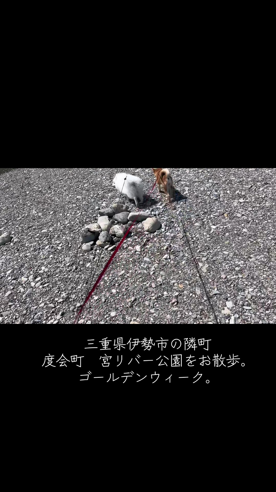 @てっつん〜伊勢おいないな日記〜