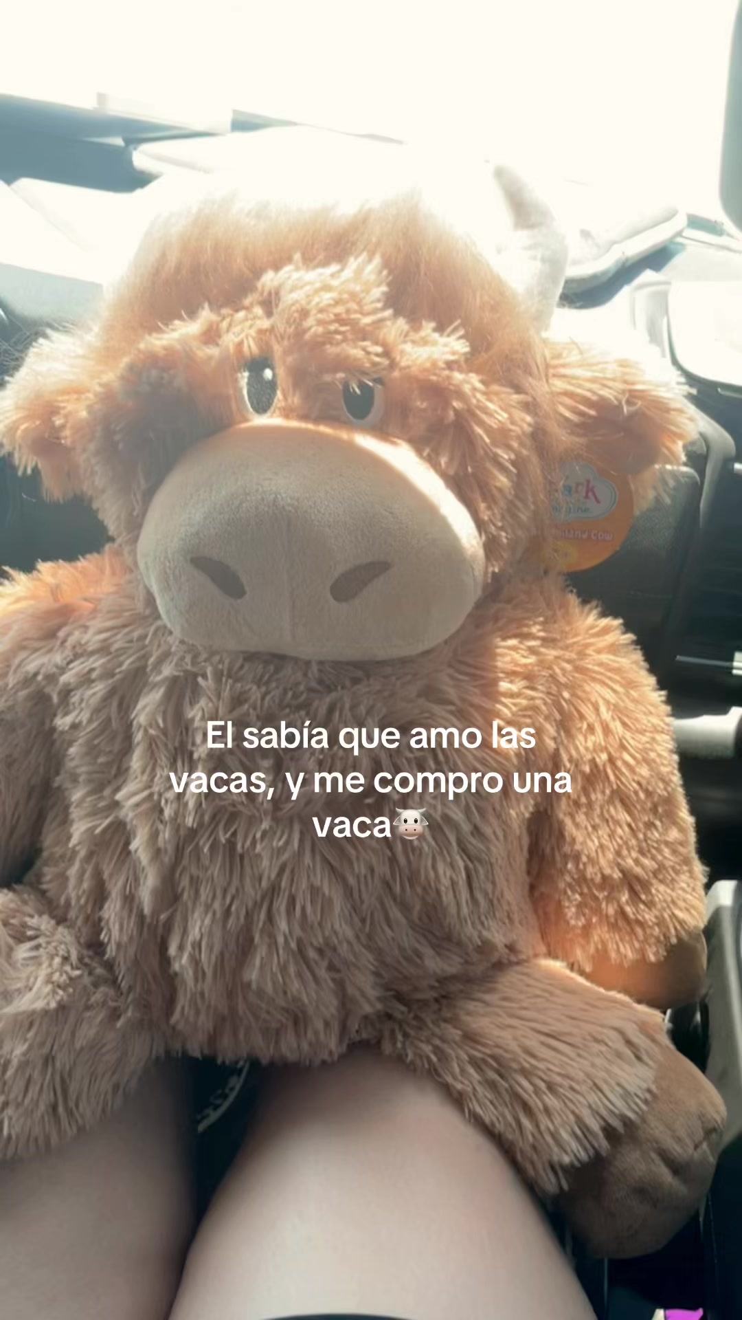 @Natalia García H🤠♥️