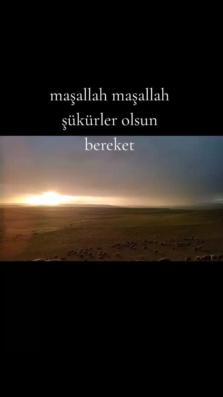 @İbrahim Kılıç