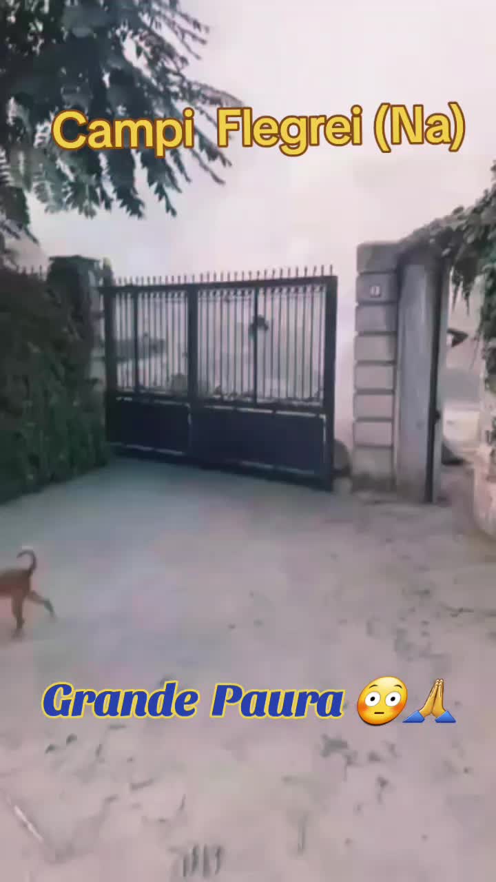 @Pino Mingardi