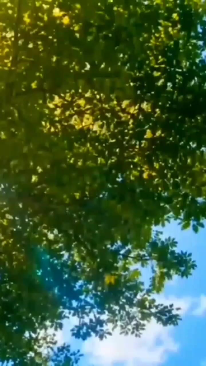 @light