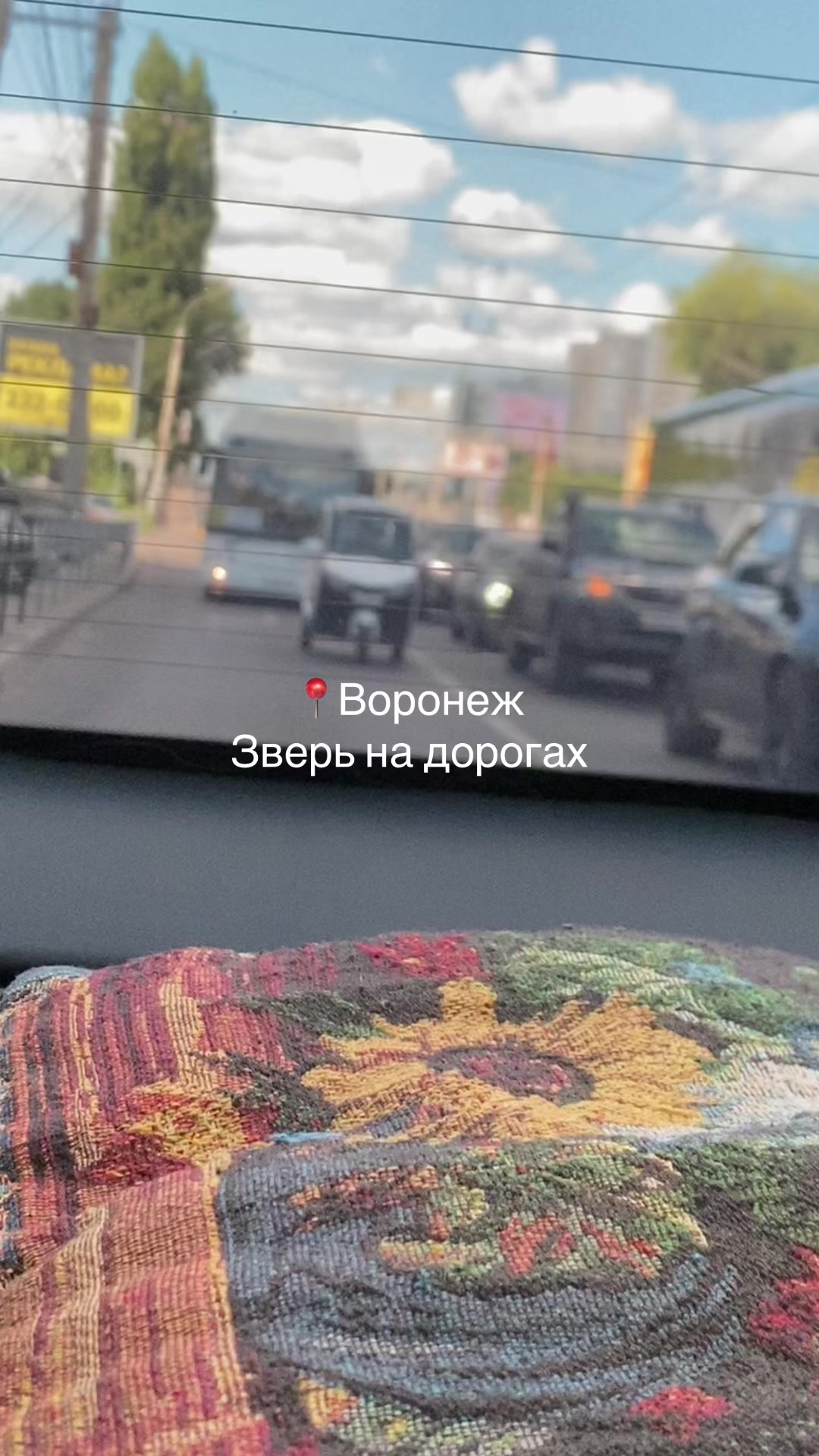 @Тгк Irennn