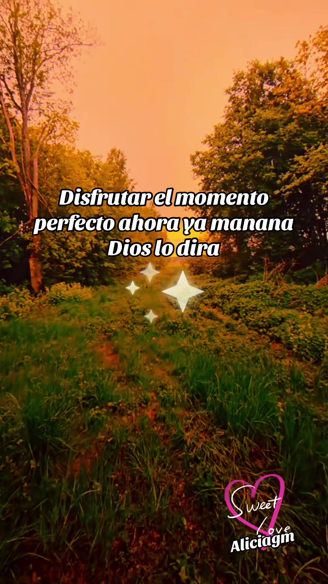 @Aliciag13