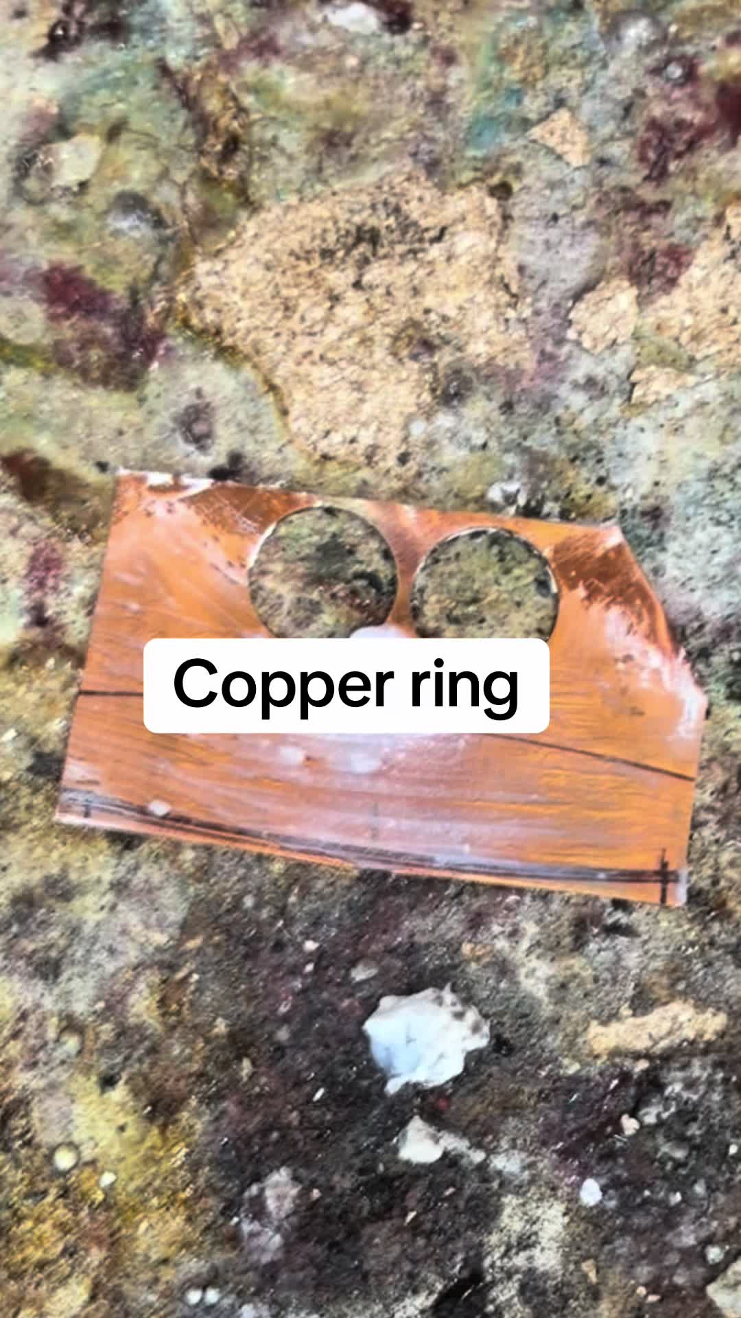 @Purple Sage Silver