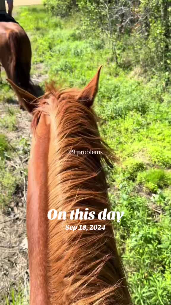 @Horselife