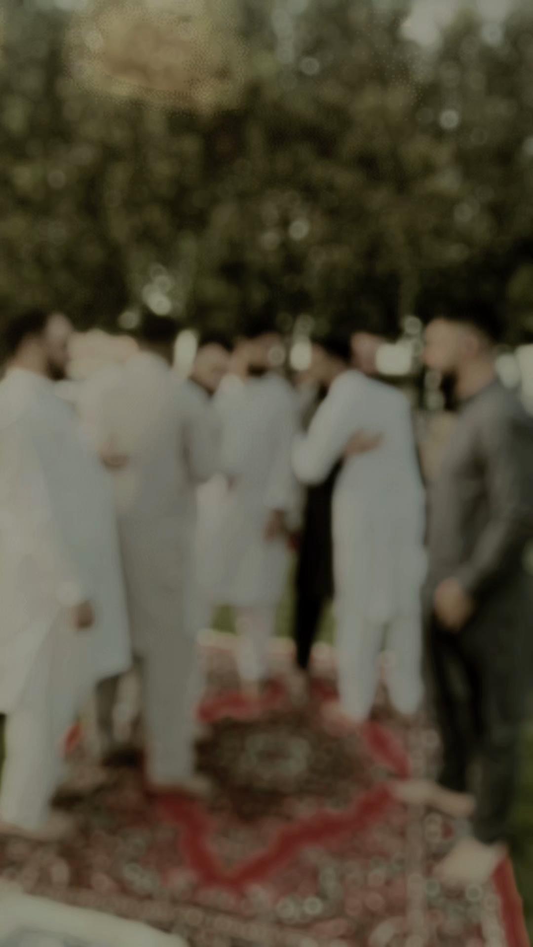 @سردار محیب